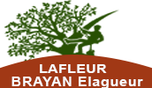 elagage-lafleur-bryan-elagueur